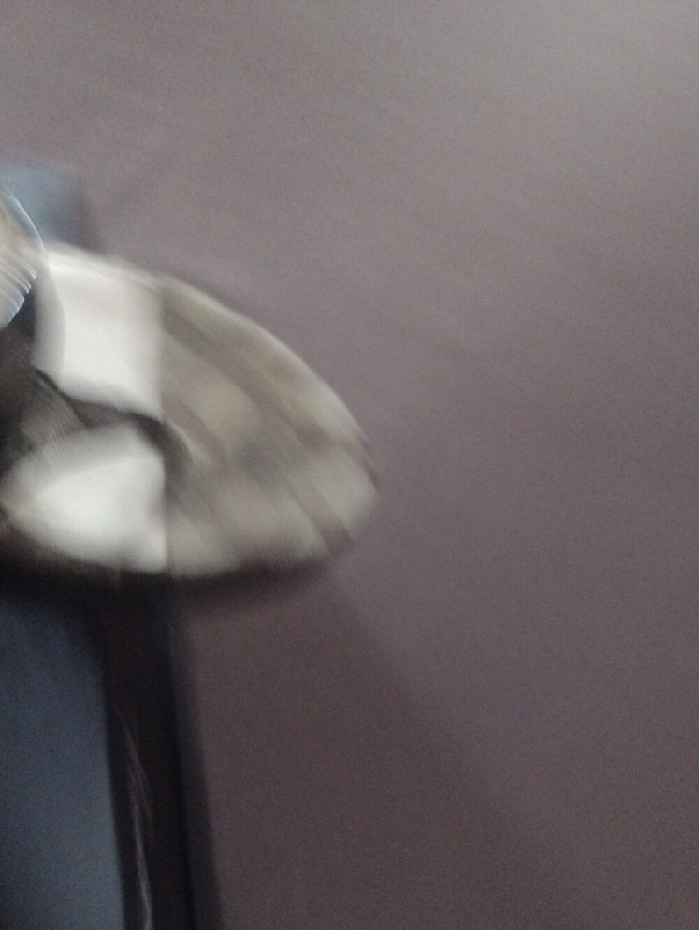 Coach Brown and Black Signature Monogram Wedge Sandals - Picture 8 of 8